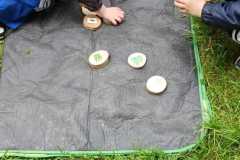 IMG-20250519-WA0030