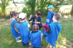 IMG-20250520-WA0000