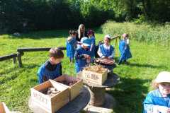 IMG-20250520-WA0002