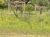 IMG_2311