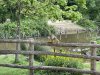IMG_2348