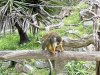 IMG_2349
