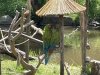 IMG_2369