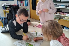 IMG_20251011_111516082_HDR